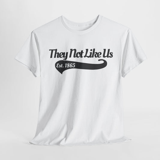 They not like us (EST. 1865) T-Shirt | Juneteenth Graphic Tee | Unisex Fit | Black Pride Shirt